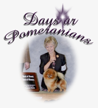 Pomeranian
