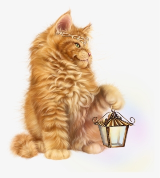 Cat Kitty Cute Kitten Light Lantern Tan Orange Yellow - Domestic Long-haired Cat