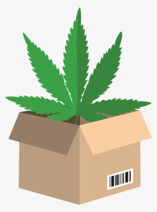 Cannabisbuyer Wholesale - Marijuana Leaf