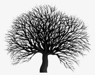 Free Png Download Black Tree Png Png Images Background - Winter Tree Silhouette