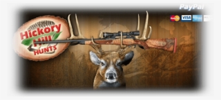 Premier Missouri Whitetail Outfitter Didn't Get Drawn - Hunting