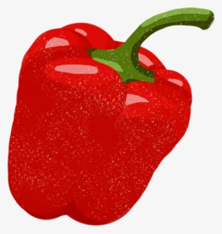 Red Pepper - Red Bell Pepper