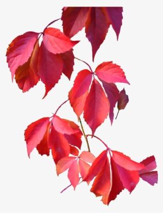 Ftestickers Sticker - Autumn Leaves