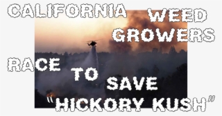 Wildfires Are Threatening California's Marijuana “emerald - Poster