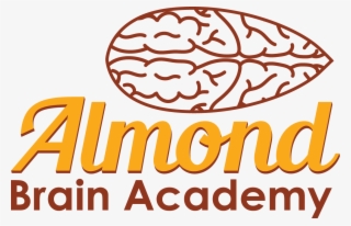 Almond Brain Academy, In City