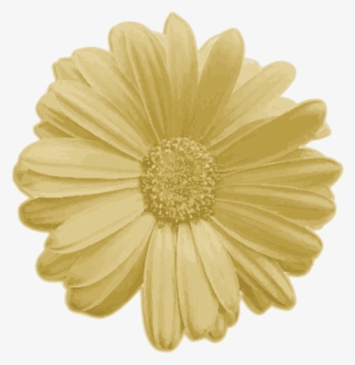 Real Flower Png