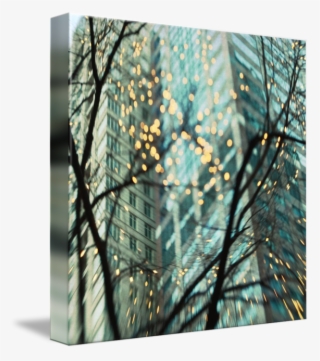 Mkc Photography Chicago Lights Canvas - Pine