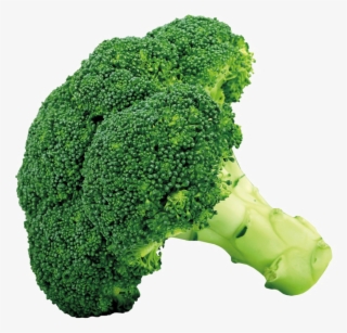 Broccoli Png
