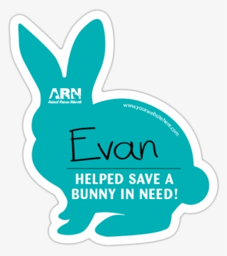 Bunny Rabbit Donation Cards - Rabbit