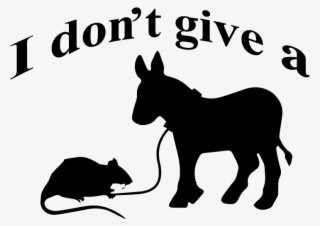 I Dont Give A Rats Ass - Google Opinion Rewards Denmark