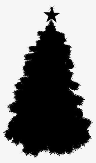 Download Png - Christmas Tree