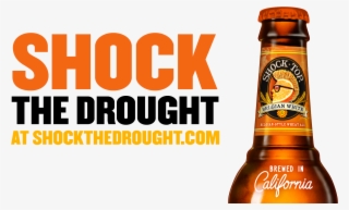 Shock Top And Indiegogo Team Up To Shock The California - Shock Top