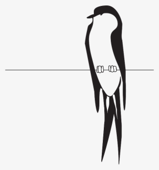 Perched Wire, Bird, Wings, Claws, Feathers, Perched - Bird On Wire Clipart