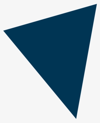 6th Annual - Triangle