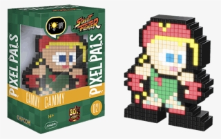 Pixel Pal Cammy