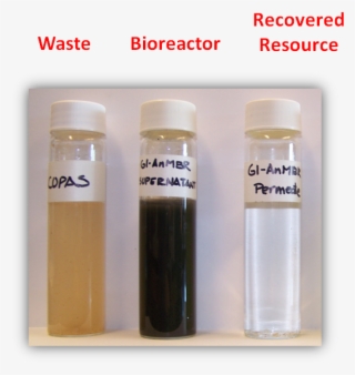 Overview2 - Plastic Bottle