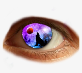Eye Shadow