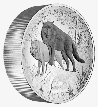 Oz Pure Silver Double Concave Coin Wolves Natures Grandeur - Foal