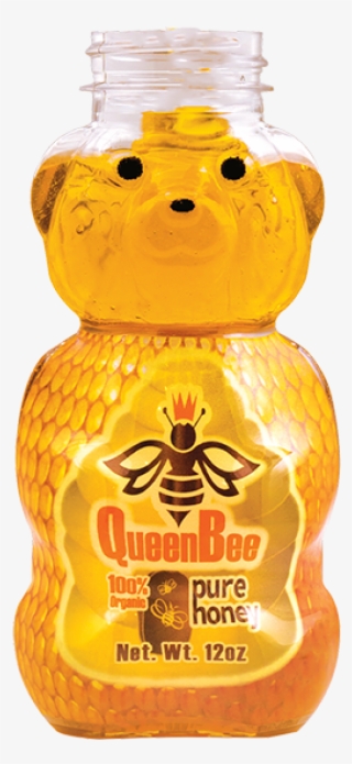 600 X 600 1 - Honey Bear Transparent Background