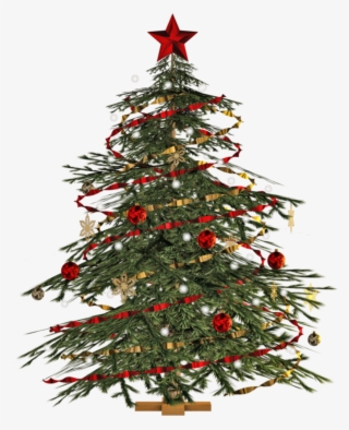 Report Abuse - Transparent Christmas Tree Png