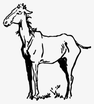 Old Horse Svg Clip Arts 540 X 594 Px