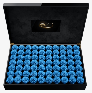 Luxury Video Flower Box Presidential With 70 Preserved - Box