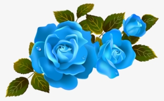 Mq Blue Roses Rose Flower Flowers - Clip Art Rose Flowers