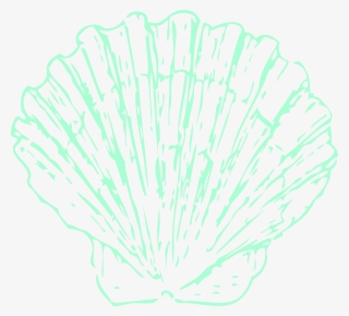 Seashell