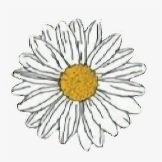 Flower Sticker - Daisy Stickers