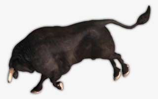 28 194k Bull 20 Rs - Bull