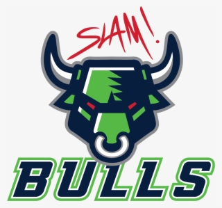Slam Academy Bulls Logo