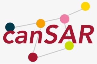 Cansar Team In The Department Of Data Science - Graphic Design