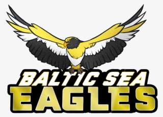 1170483660 Balticseaeagles - Golden Eagle