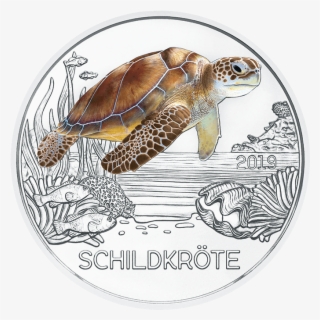 3-euro Coin Colourful Creatures 2019 The Turtle Reverse - 3 Euro Münze Schildkröte