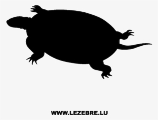 Silhouette