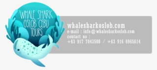 Oslob Whale Shark Tumalog Falls Sumilon Island - Graphic Design