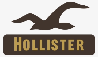 Hollister Co Logo Vector Concept Store Company Format - Hollister Co