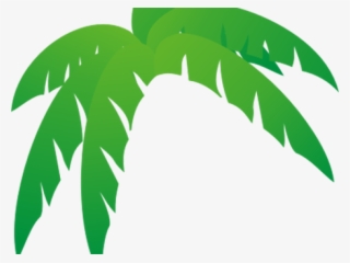 Palm Tree Clipart Palmera - Palm Frond Palm Tree Leaf