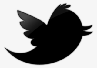 One Former Twitter Employee's Perspective On Race And - Black Twitter Logo Psd