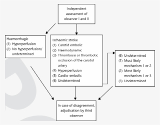 Adjudication And Classification Of Stroke Mechanism - Diagram