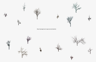 Hjm Dead Trees Rootless 3 Alpha - Tree Isometric Line
