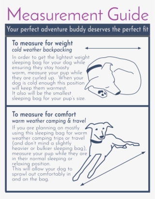 A Sleeping Bag For Adventure Dogs - Paper