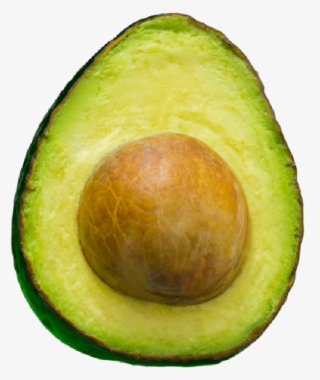Avacadostickers Sticker - Avocado