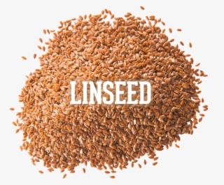 Linseed - Seed