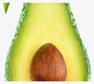 Avocado Clipart Transparent Background - Avocado Png