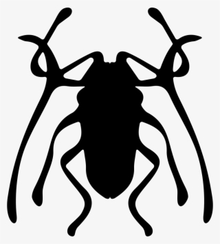 Png File Svg - Weevil