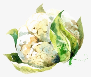 Free Png Download Watercolor Vegetables Stock Vector - Vegetable Watercolor Transparent