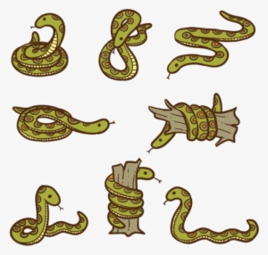 Anaconda Clipart Vector - Dibujos De La Anaconda