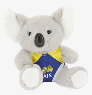 Koala Swimmer - Advanced Info Service