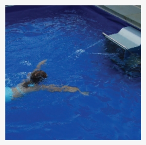 Dolphin Fastlane And Swimmer - Swimming Pool